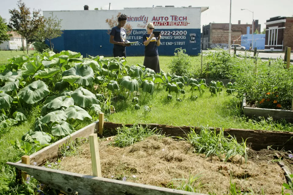 Urban Garden